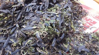 Cao bồ kết cô đặc 300ml