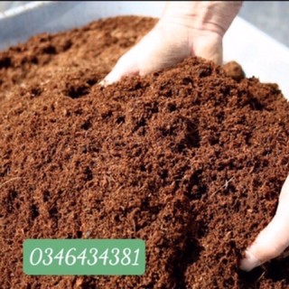 Mụn Xơ Dừa đã qua xử lý - Giá thể trồng cây/sen đá/ xương rồng