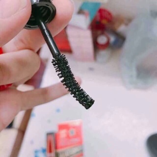 maccara 5x Sivanna 2 đầu