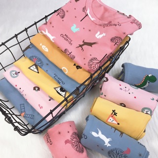 Bộ thun Baobao nhiều màu (khách chat trc chọn màu)