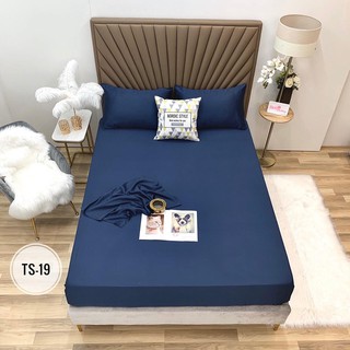 1.GA GỐI LỤA TENCEL TRƠN 1 MÀU