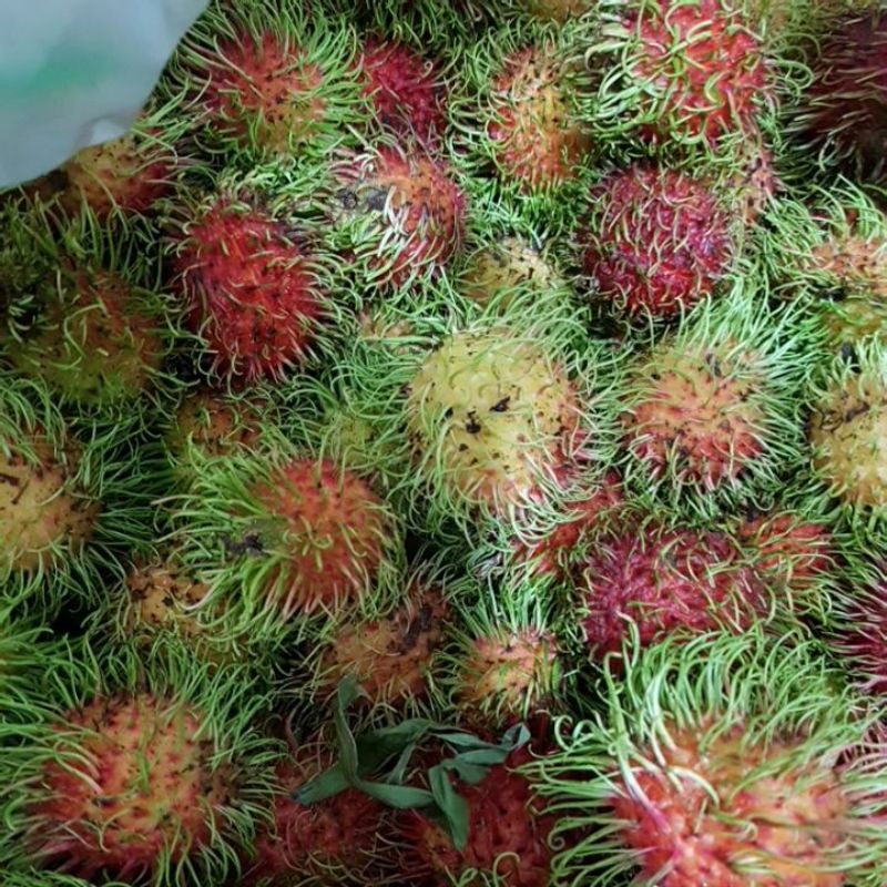 Chôm chôm thái ngon