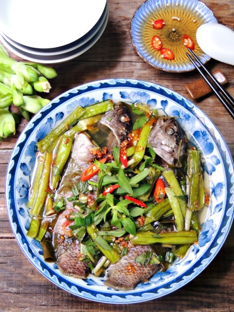 Cây kèo nèo / cây thuỷ sinh hồ cá- cây giống