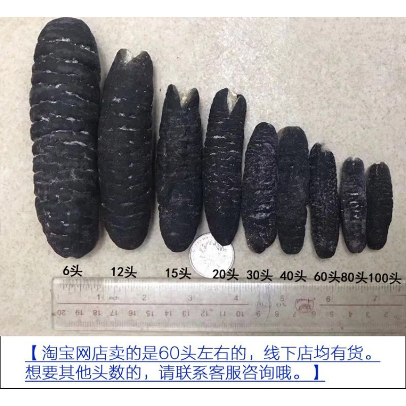 Hải sâm khô Úc ( 100g size 10 - 12 con ) | BigBuy360 - bigbuy360.vn