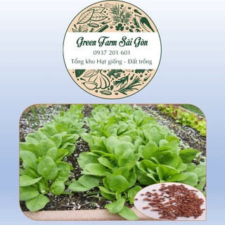 Hạt giống Rau Cải Bó Xôi chịu nhiệt (50 Hạt) - Tỷ lệ nảy mầm cao [Siêu Rẻ]