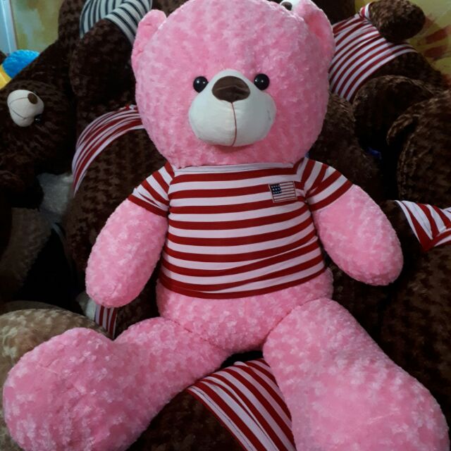 Gấu bông Teddy 1M4
