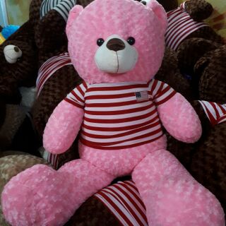 Gấu bông teddy 1m4