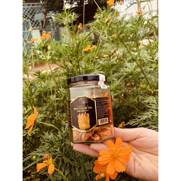 Đông Trùng Hạ Thảo Dạng Khô(25g)