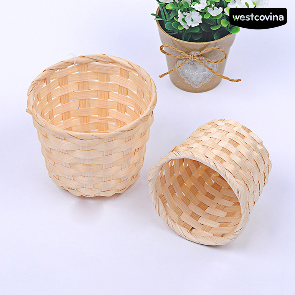 STURDY Bộ 50 Chậu Nhựa Trồng Cây Trang Trí