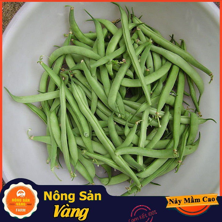 Hạt giống Đậu Cove Hạt Đen Dễ Trồng ( Gói 20 Gram ) - Nông Sản Vàng