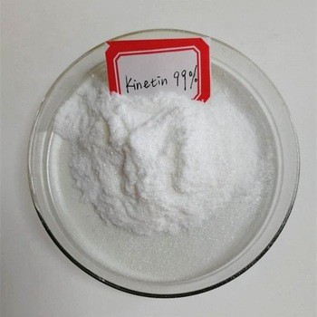 Cytokinin Kinetin 99%  gói 50g