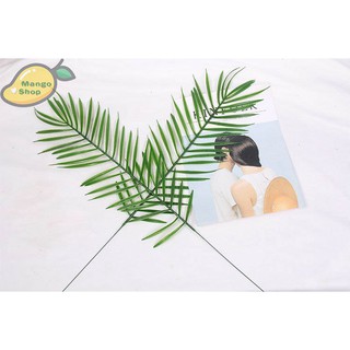 Lá nhựa chụp ảnh ( Lá dừa )