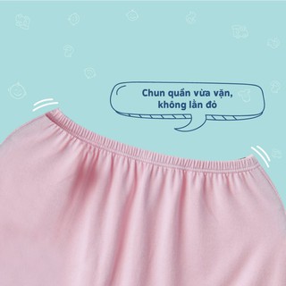 Bộ cài vai Mompa
