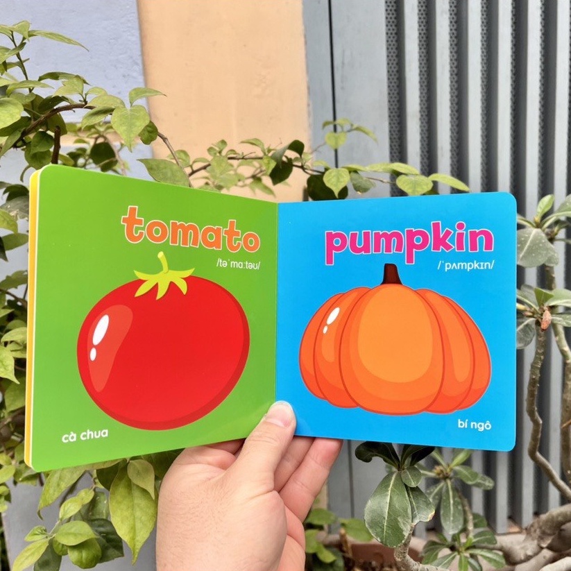 Sách - Bộ Bìa Cứng Thư Viện Hình Ảnh Đầu Tiên Cho Bé Về Thế Giới Xung Quanh Baby' First Picture Book (8 Cuốn)