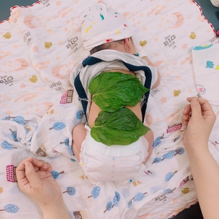BẾP ĐIỆN HƠ LÁ TRẦU CHO BÉ