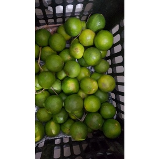 Combo Gừng+Sả+Chanh(1.5kg)