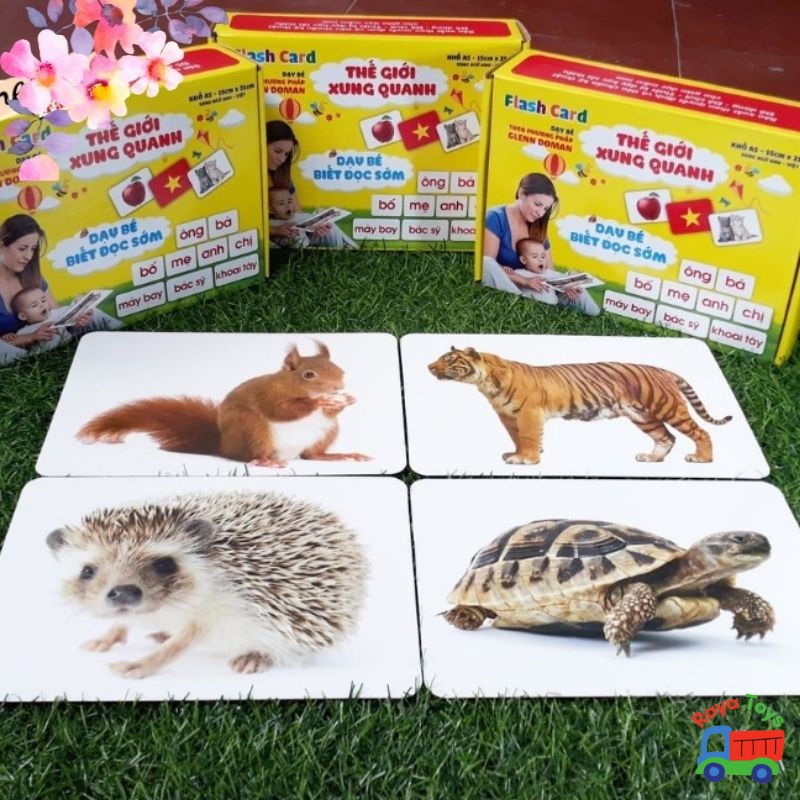 Flashcard cho bé bộ thẻ học thông minh loại to cứng A5 Glenn Doman 14 và 16 chủ đề mới có lớp cán bóng tặng file nghe