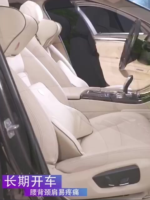 Gối Ô Tô Tựa Lưng, Tựa Đầu Cao Su Non Nguyên Khối Bọc Da Cao Cấp T14 | BigBuy360 - bigbuy360.vn