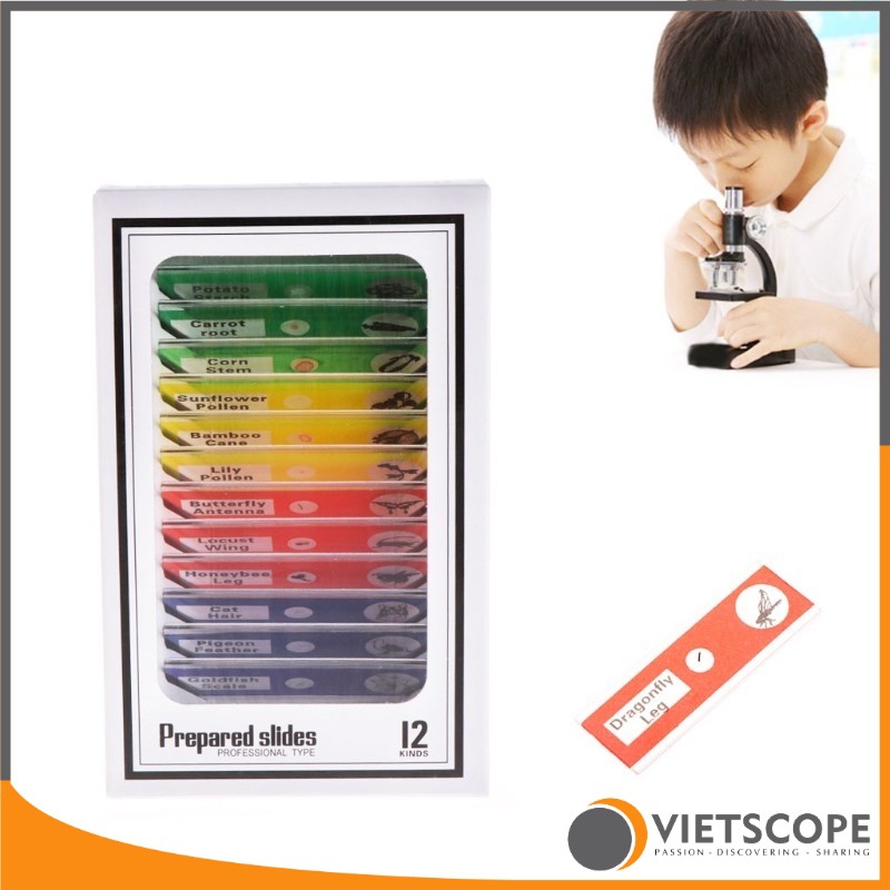 Bộ 12 mẫu tiêu bản đã qua xử lý dành cho kính hiển vi - Lam kính nhựa ABS