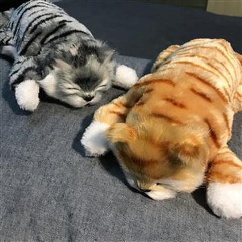 Đồ chơi cho mèo lật Búp bê mèo Douyin sẽ lật lại Mèo mô phỏng điện Mèo cười Quà tặng ngày thiếu nhi