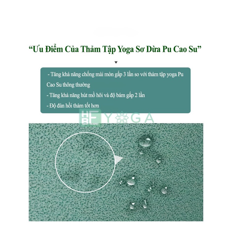 Thảm Tập Yoga Gym Định Tuyến HEBEYOGA Xơ Dừa Pu Cao Su 5mm Đế Đen Thế Hệ Mới Chống Trượt Thấm Hút Mồ Hôi Cao Cấp