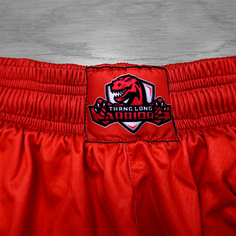 Đồ bóng rổ Thang Long Warriors VBA 2021