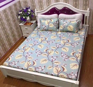GA CHUN VÀ VỎ GỐI POLY COTTONG