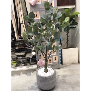 Cây giả - cây bạch đàn giả 85cm