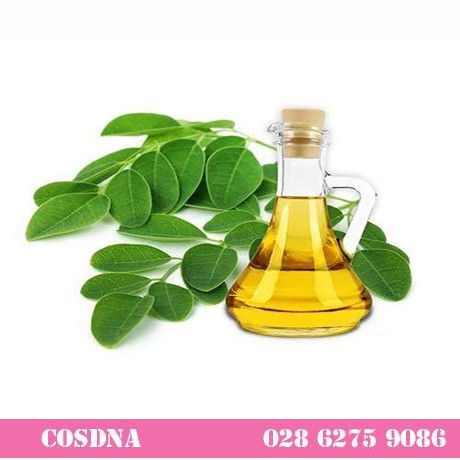 Dầu  chùm  ngây  Moringa Oil