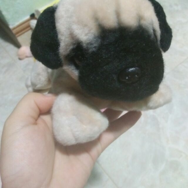 Gấu bông linh huyền