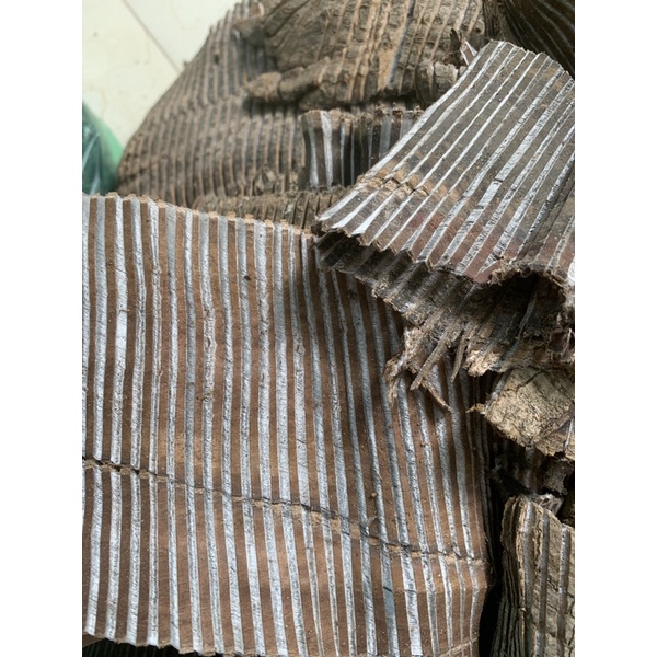 Đỗ trọng khô gói 100g