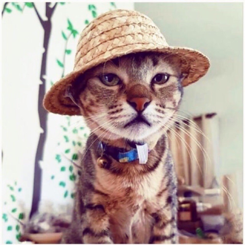 Mũ Cói Đội Đầu Thoáng Mát Cho Chó Mèo