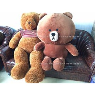 Gấu bông teddy cao cấp ảnh thật khổ m5 cao m3