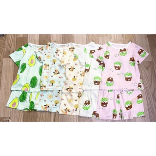 Bộ cotton giấy alfronso xuất Hàn dư xịn