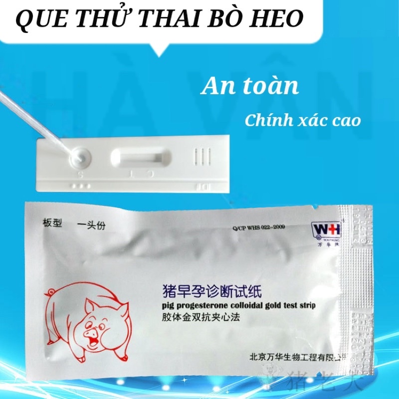 Que thử thai cho heo chính xác cao - Hà Vân Store