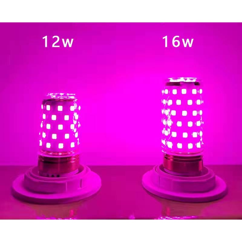 Bóng Đèn LED E27 / e14 12W / 16W Ánh Sáng Tím / Xanh Lá / Hồng / Xanh Dương Nhiều Màu Sắc Lãng Mạn Đa Ứng Dụng