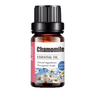 Tinh dầu thiên nhiên Cúc La Mã Chamomile