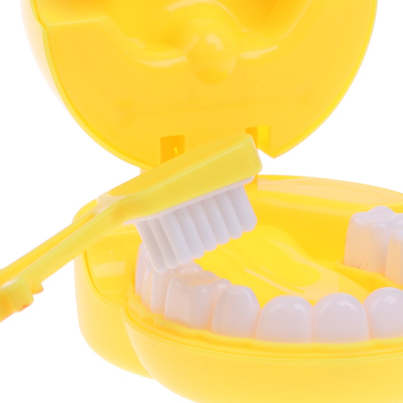 Bộ 4 Mô Hình Răng Đồ Chơi Chất Lượng Cao