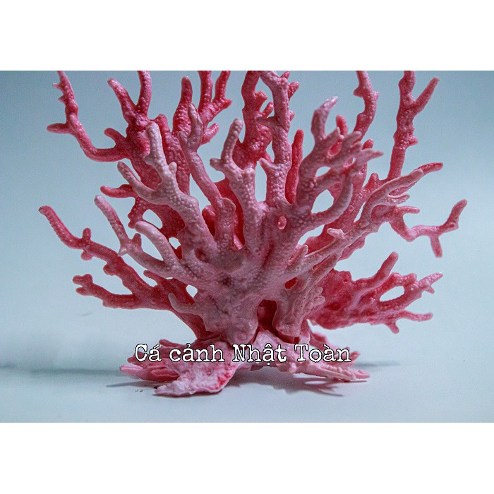 BỤI SAN HÔ GIẢ TRANG TRÍ BỀ CÁ 14x17cm