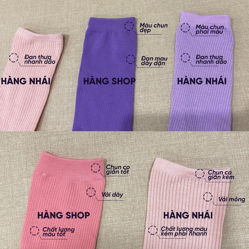 Tất cổ cao nam nữ, tất nữ nam nhún chất liệu cotton mềm thoáng mát dễ phối đồ CAMILA T02D