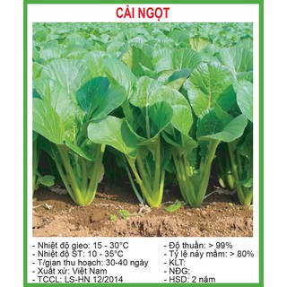 Hạt Giống Cải ngọt 20 Gram/ Gói