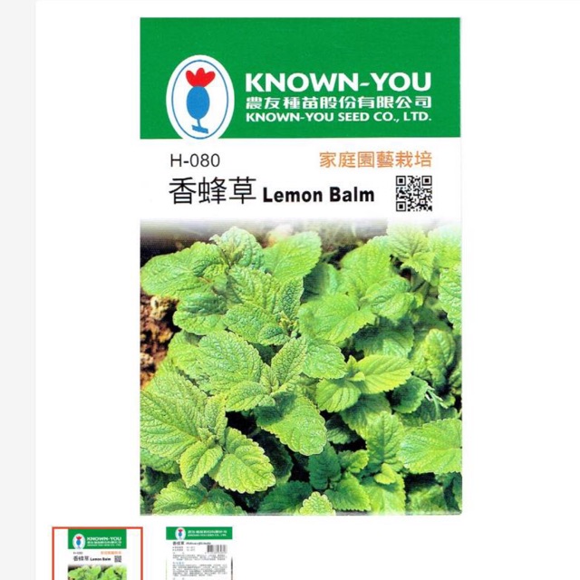 Hạt giống bạc hà úc Lemon Balsam