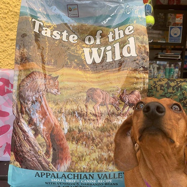 Thức Ăn Cho Chó Pomeranian Taste Of The Wild Bao 500g - Appalachian Valley Thịt Nai &amp; Đậu Garbanzo