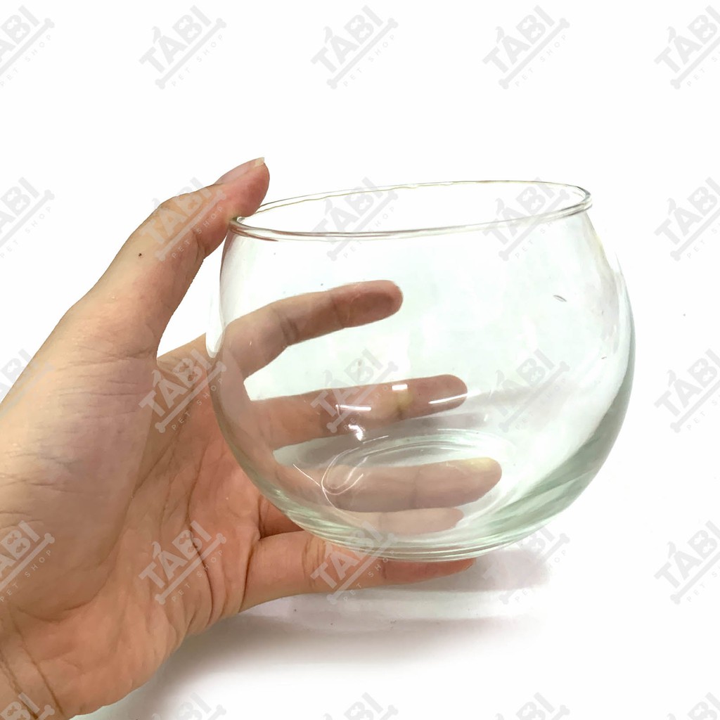 Hồ Cá MINI HT-04 Size 10x8CM - Chậu Thuỷ Tinh Nuôi Cá, Trồng Cây Mini [HT4]