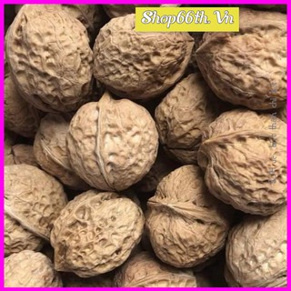 Hạt óc chó sấy khô 1Kg ❤Siêu rẻ❤ Quả óc chó rừng Sapa