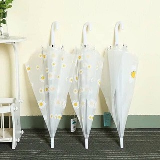 Ô dù trong suốt càn dài hoa cúc