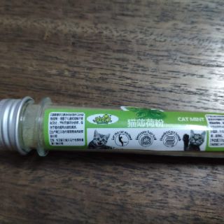 Cỏ mèo bạc hà