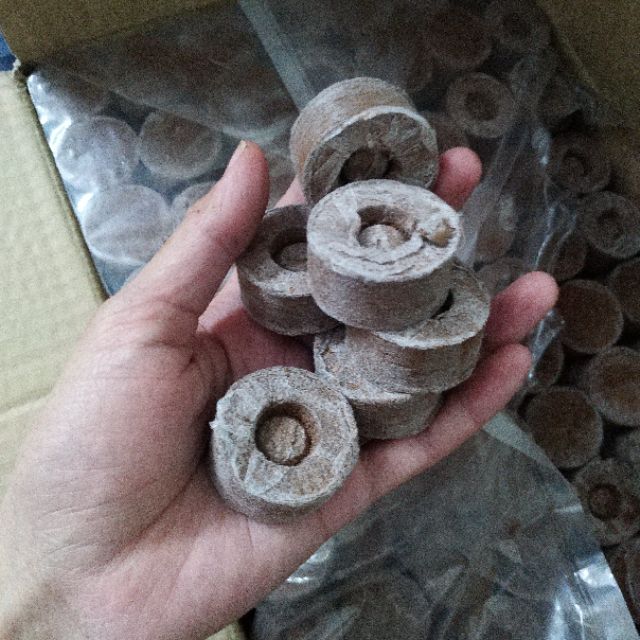 10 Viên Nén Ươm Hạt - Size to 60 mm