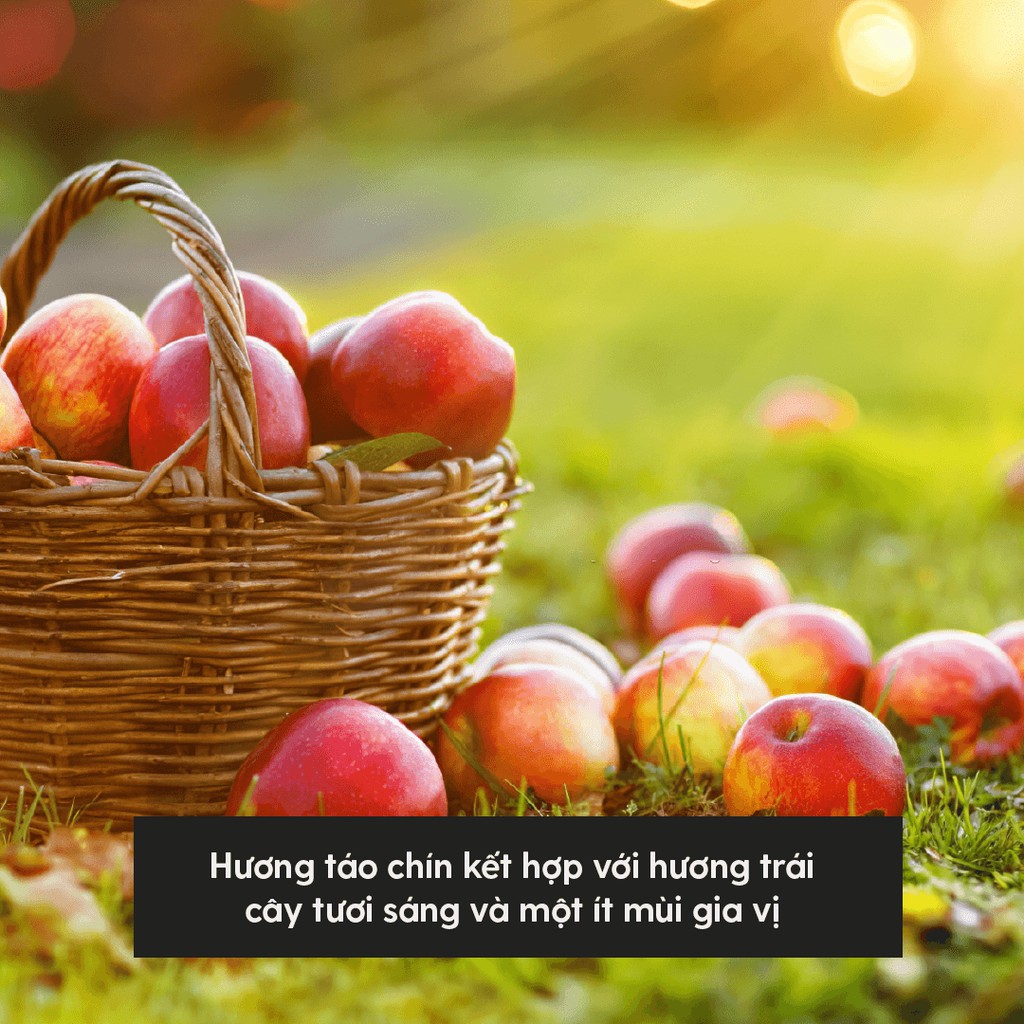 Tinh Dầu Phối Hương Apple Orchard (Ngọt Trái Cây) Làm Nến Thơm, Xông Thơm Phòng HENY GARDEN