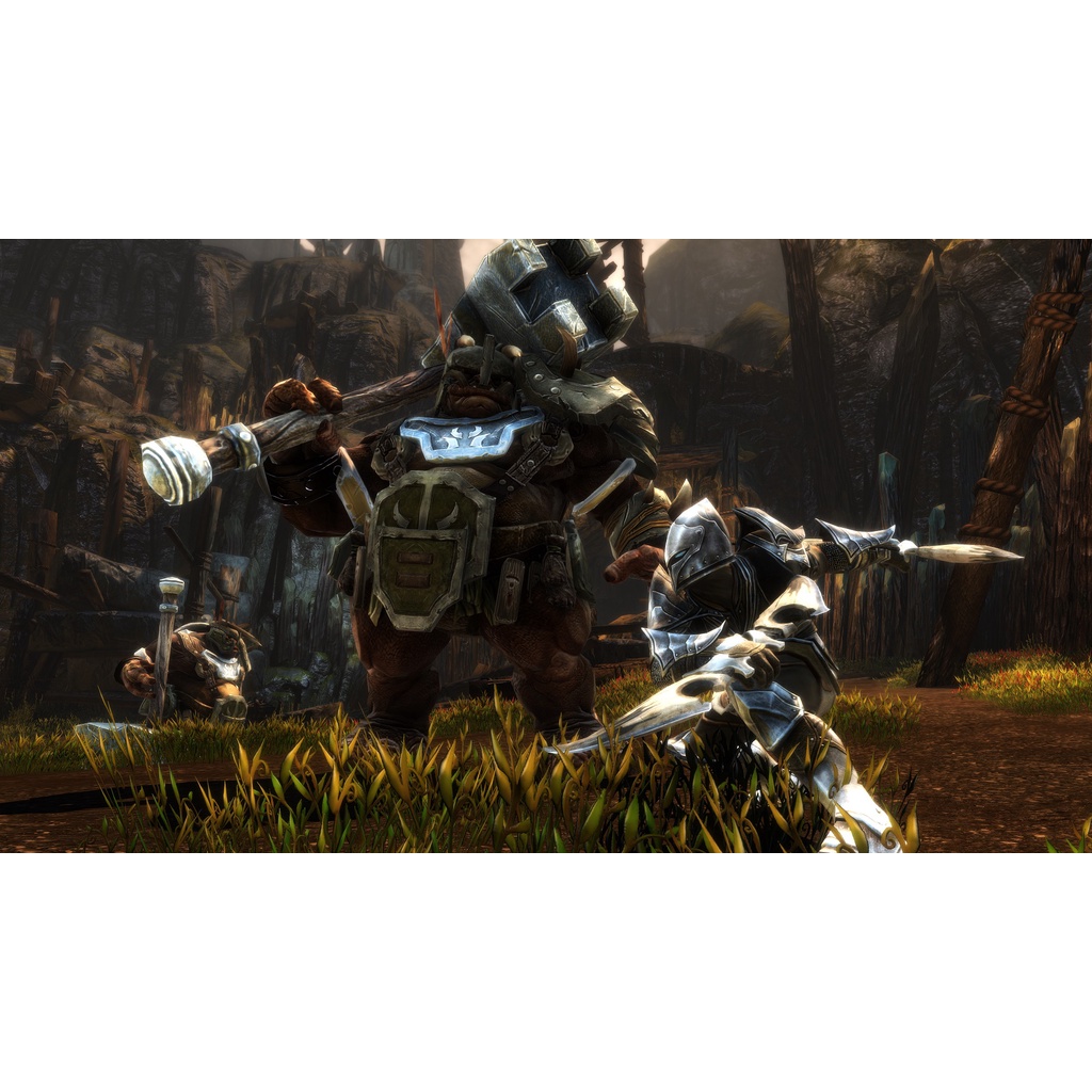 Đĩa Game Ps4 Kingdoms of Amalur Re-reckoning